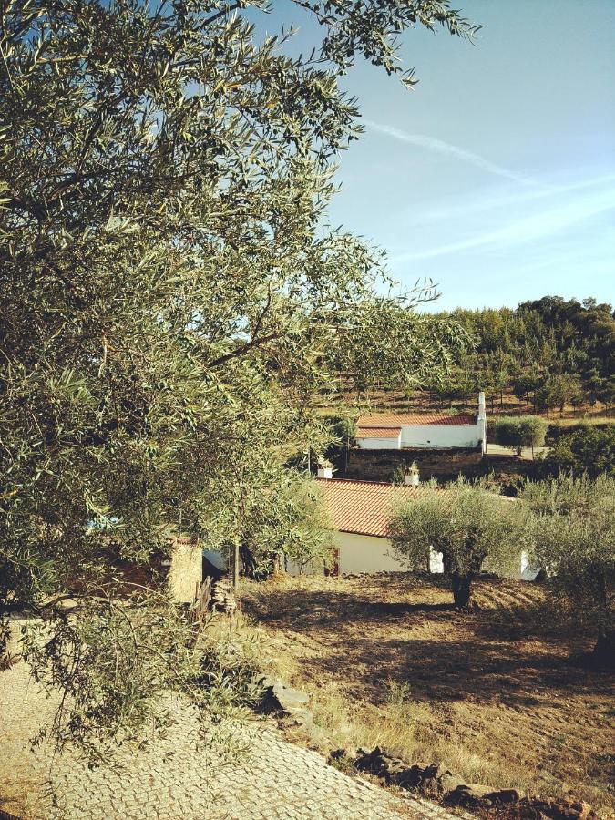 Casa De Pimenteis Villa Vimioso Exteriör bild